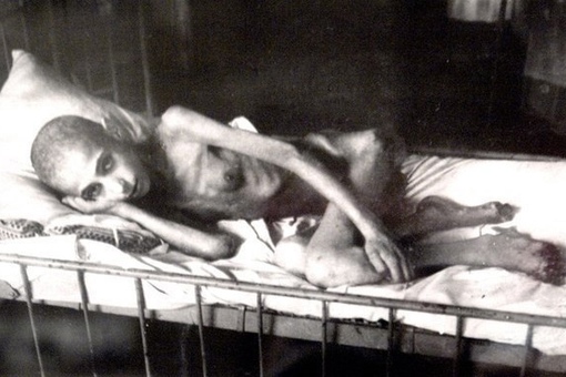 Жертва дистрофии. Ленинград. РСФСР. СССР. Зима 1941 года.
Больше..0