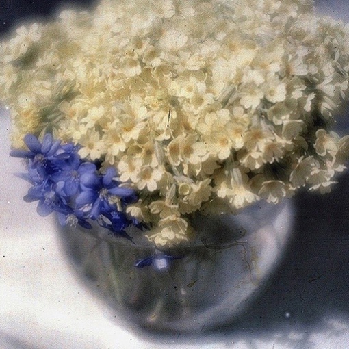 Автохромные снимки Генриха Кюна, начало 20 века.
Больше..5