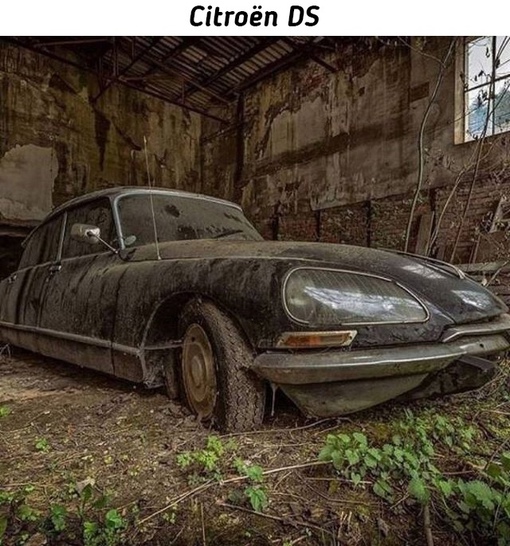 Брошенные легендарные ретро автомобили.
Больше исторических..8