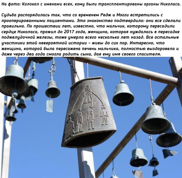 Эффект Николаса: История посмертного донорства, которая..5