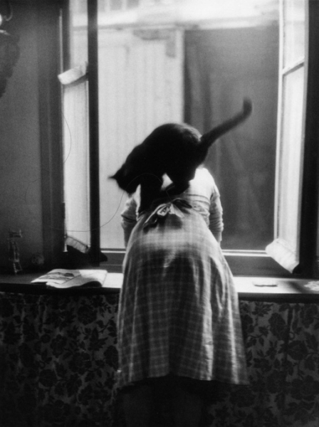 Котейки на фотографиях Willy Ronis.

Вилли Рони (1910-2009) - французский..7