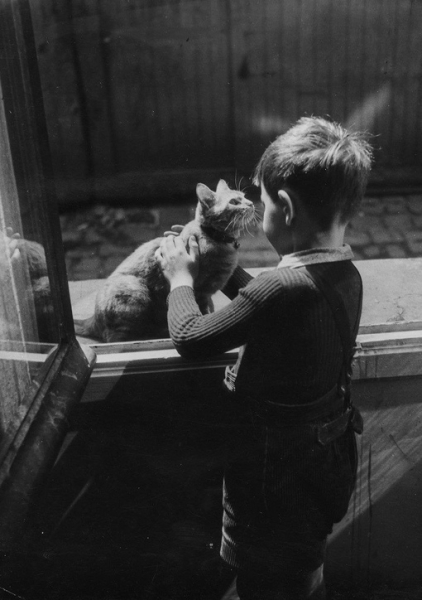 Котейки на фотографиях Willy Ronis.

Вилли Рони (1910-2009) - французский..5