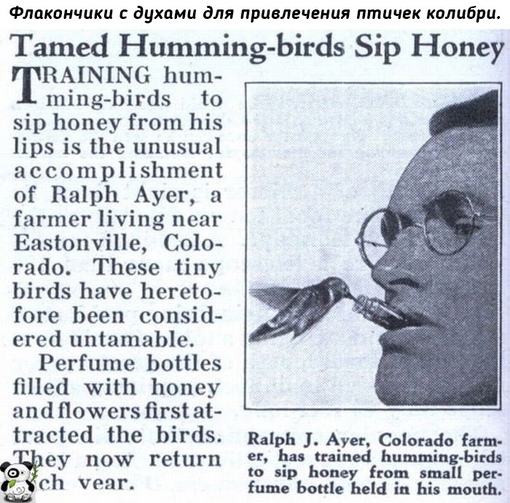 Очень важные и нужные вещи, которые уже не купишь.
Больше..5