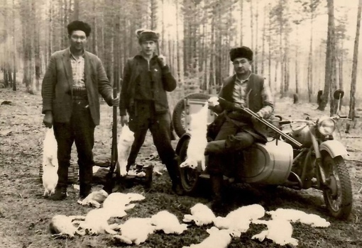 Охотники с трофеями . Якутская АССР , 1968 г .
Больше исторических..0