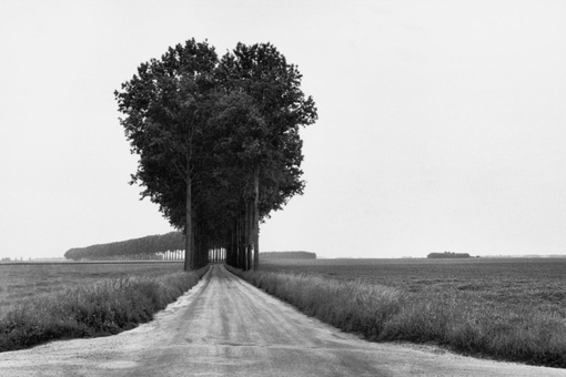 Май 1968 года. Франция. Провинция Бри. Фото Henri Cartier-Bresson.

Мы в ТГ..0