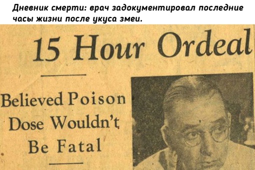 В сентябре 1957 года директор зоопарка Линкольн-парка в Чикаго..0