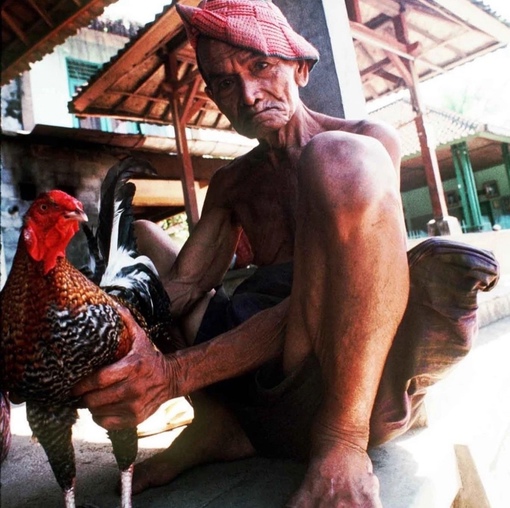 Жизнь на Бали, 1990-е, фото — Джилл Фридман.

Мы в ТГ..1