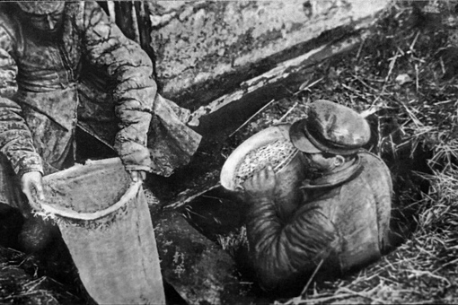 11 января 1919 года СНК РСФСР принял декрет о введении..0