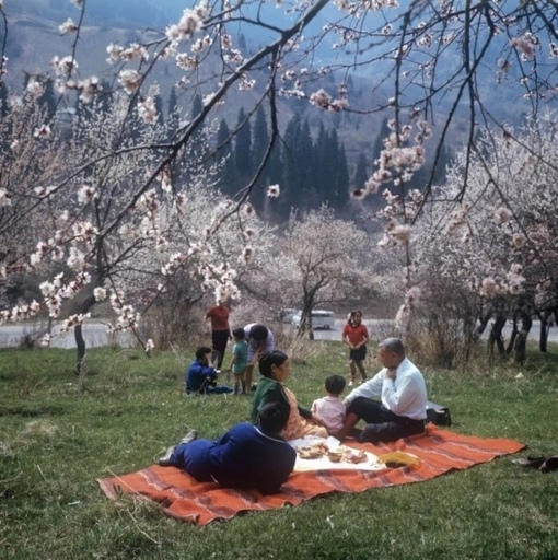 Алматинцы на весеннем пикнике в горах Заилийского Алатау, 1971..0