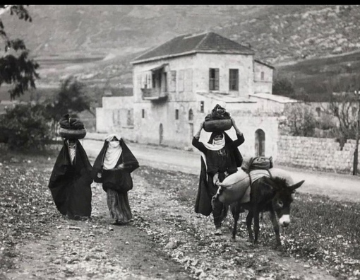 Арабские женщины переносят своих младенцев . Палестина , 1927 г .

Мы..0