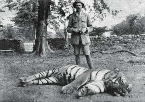 Британский охотник с  застреленной  тигрицей , которая убила..0