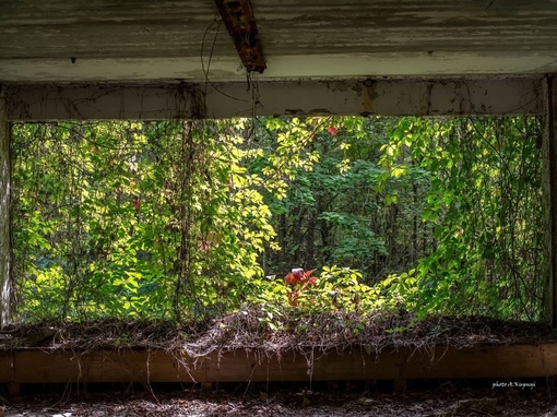 Фотографии Чернобыльской АЭС, сделанные дозиметристом..3