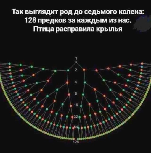 Интересно как перевернулось идеальное генеалогическое древо...0