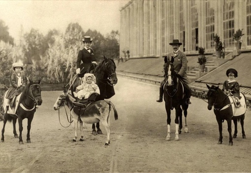 Итальянская королевская семья в 1905 году

Мы в ТГ..0