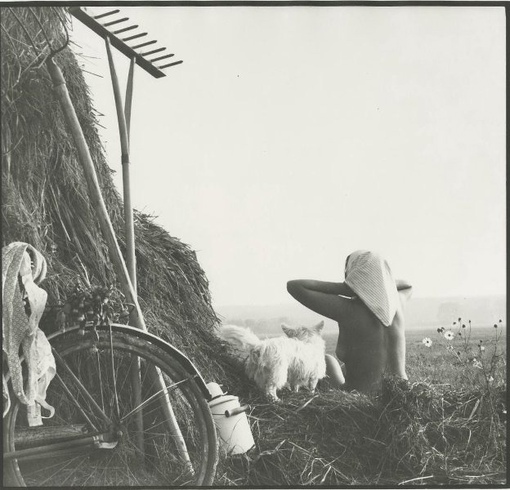 На сенокосе . Белгородская область , 1980 г . 

Автор фото : Александр..0