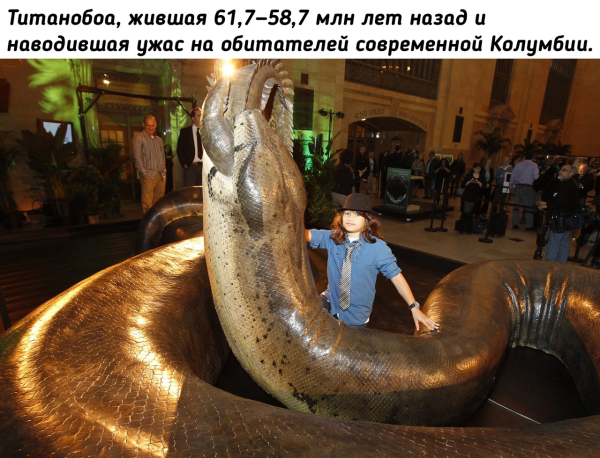 Предок удава прекрасен

Мы в ТГ..0