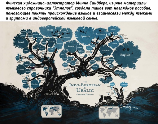 Размер листьев на каждой ветке демонстрирует пропорциональное..0