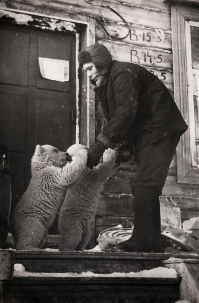 Сотрудник метеостанции кормит медвежат. Новая Земля, 1970 г.

Мы в..0