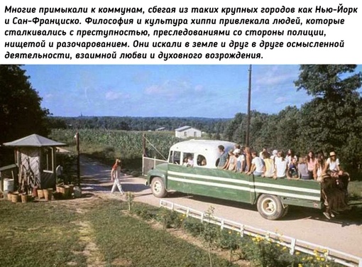 Жизнь американских хиппи в..1