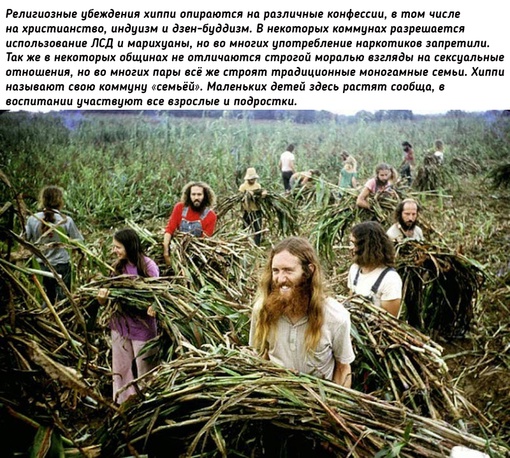 Жизнь американских хиппи в..2