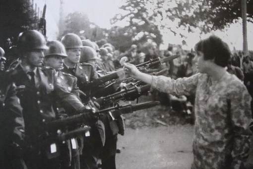 Девушка с цветком на фотографиях Марка Рибу, 1967 год.
На фото..3