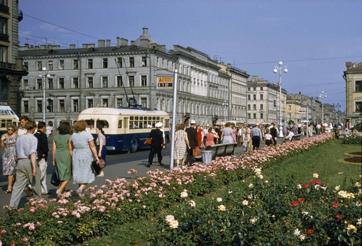 Невский 1959 года

Мы в ТГ..0