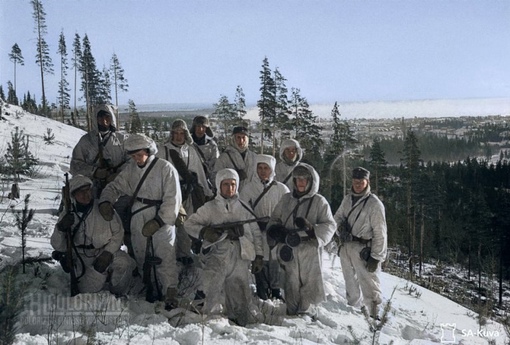 Зимняя война со стороны финнов, 1939-1940 гг.

Мы в ТГ..6