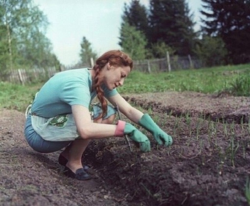 Балерина Майя Плисецкая на своей даче. СССР , 1962 г.

Мы в ТГ..0