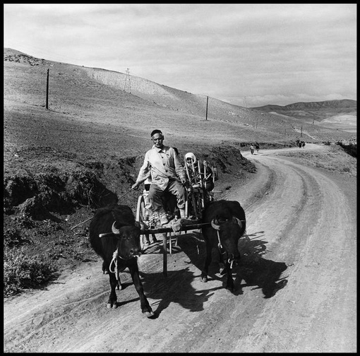 Грузия на снимках Роберта Капы, 1947 год. Фотографии из путешествия..1