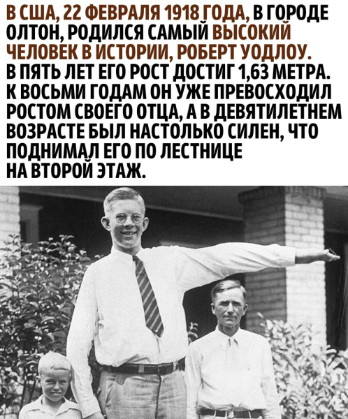 Невероятная история самого высокого человека в истории..0