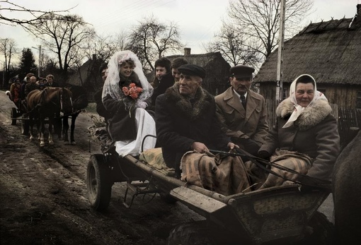 Польша в 1981..0
