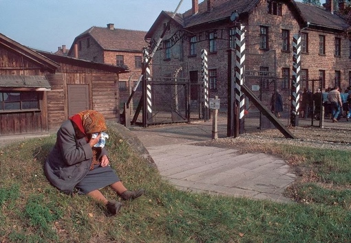 Польша в 1981..6