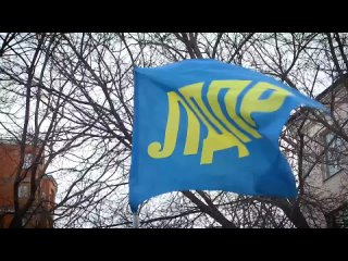Солидарность в действии: сторонники ЛДПР вышли поддержать..0