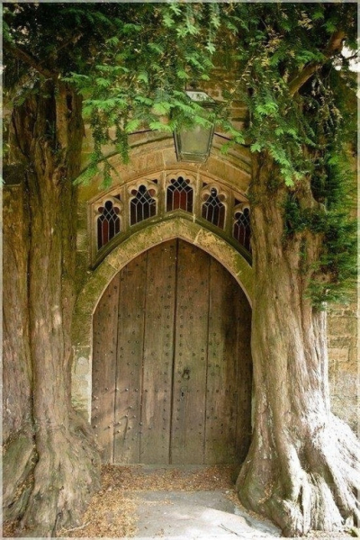Старые двери...Cotswolds,..0