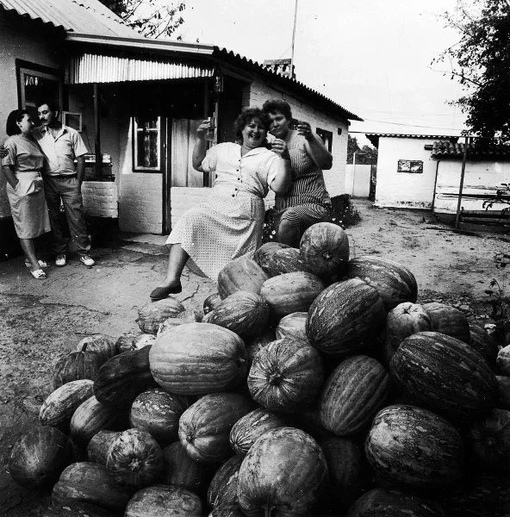 Урожай бахчевых в станице Тбилисская. Краснодарский край , 1992 г..0