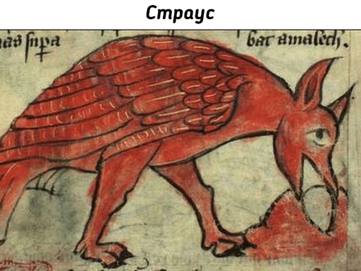 Животные на рисунках средневековых..8