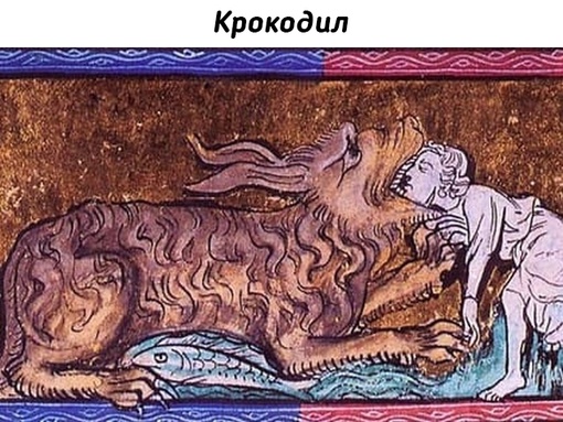 Животные на рисунках средневековых..4