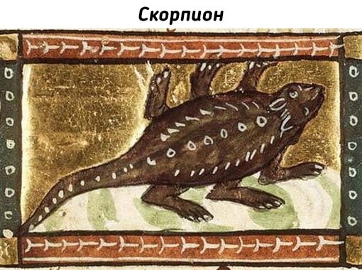 Животные на рисунках средневековых..7