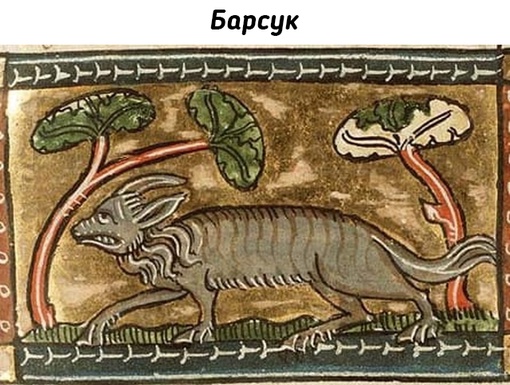 Животные на рисунках средневековых..6