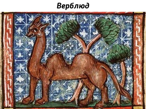 Животные на рисунках средневековых..0