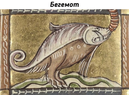 Животные на рисунках средневековых..1