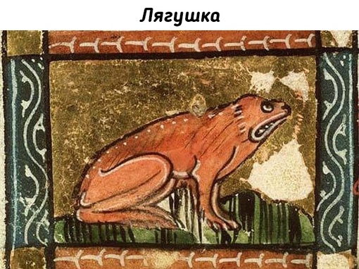 Животные на рисунках средневековых..9