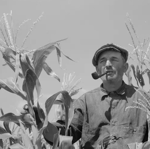 Американские фермеры во времена Великой Депрессии в США, 1930-е..9