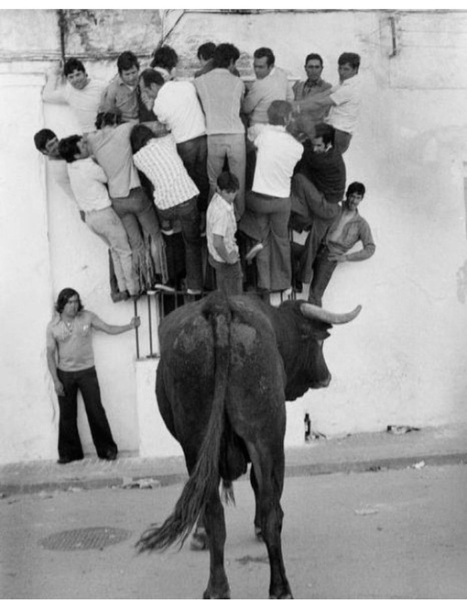 Бег быков по городским улицам. Испания, 1977..0