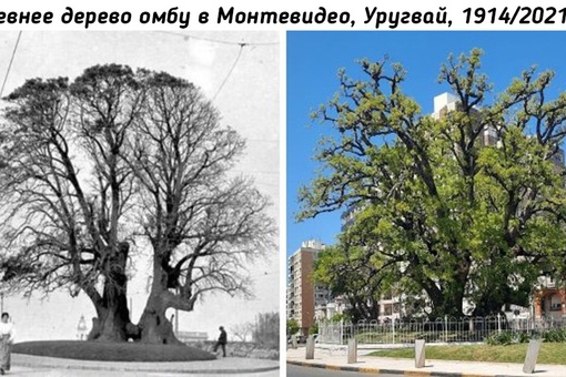 Изменения в мире..6