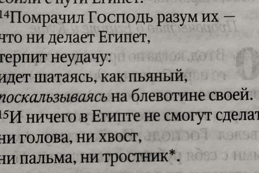 Книга пророка Исаии, гл. 19, 14-15

 (написана между 733—701 годами до..0