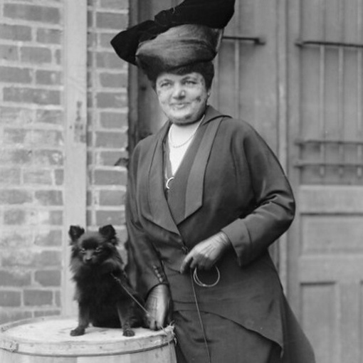Собачья выставка, США, 1910-е годы, фото из архива Harris &..2