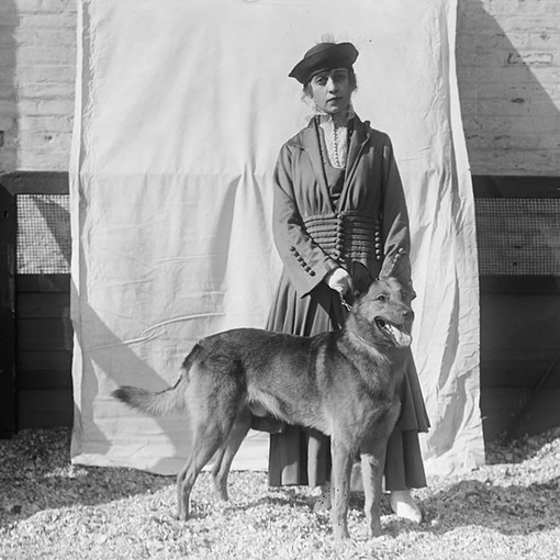Собачья выставка, США, 1910-е годы, фото из архива Harris &..0