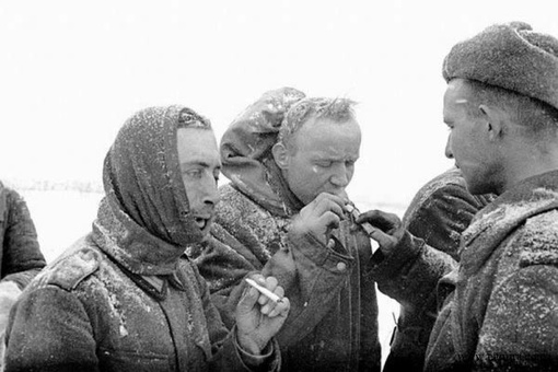 Как немцы сегодня воспринимают Сталинградскую битву?

Только..0