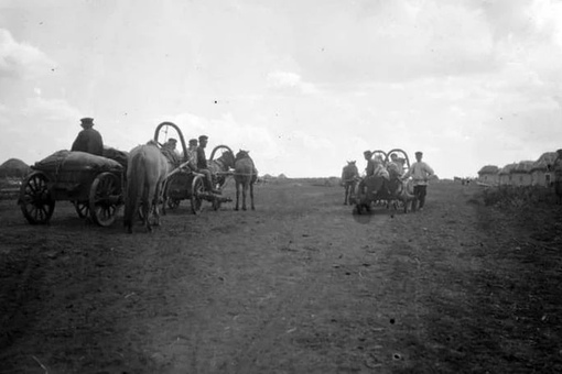 Мобилизация на войну в мордовском селе. Российская Империя,1914..7